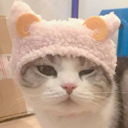 淡定